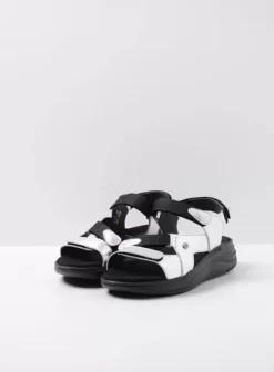 Voorjaar/zomer|Sandalen|Wolky Cirro zilver leer